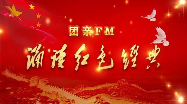 救援狗与猫